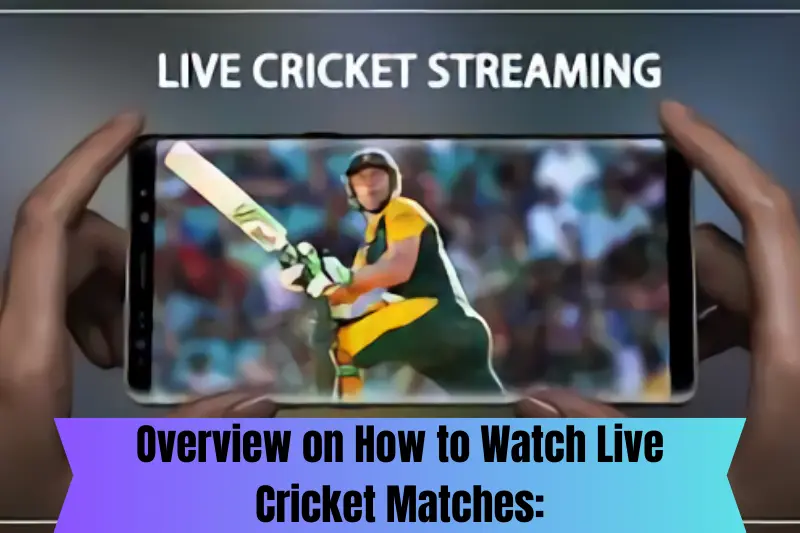 overview on how to watch live cricket matches